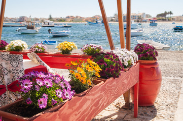 Flowered vases and fishing boats in the harbor of Marzamemi 