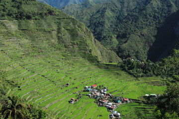 Fototapeta na wymiar Batad in der Provinz Ifugao, Kordilleren, Philippinen