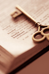 Business concept  key for success