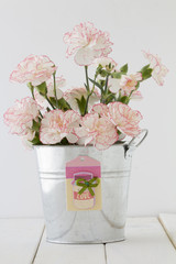 Carnations with Love Tag in a Bucket