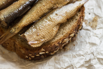 Sardines on a piece of bread