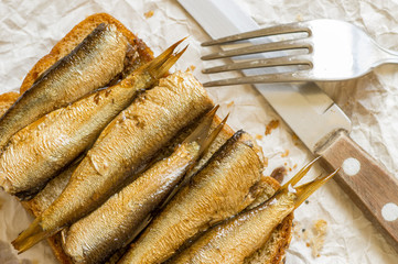 Rustic breakfast with sardines