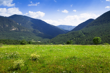 Naklejka na ściany i meble Simple landscape with mountain meadow