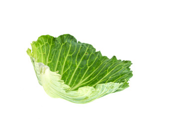 Close up green cabbage isolated on white