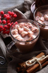 Cocoa in glasses with marshmallow