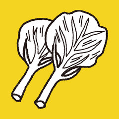 Cabbage doodle