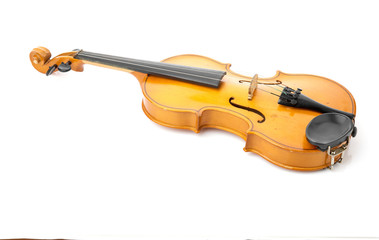 violin on white background