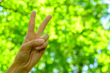 Gesture. Girl's hand with Victory sign.