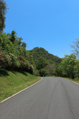 the road to the nature