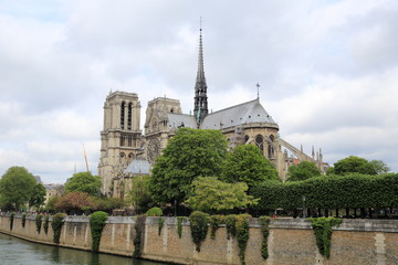 Fototapeta na wymiar cathédrale notre-dame de Paris