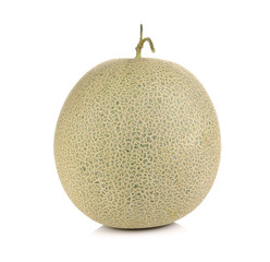 melon fruit on white background