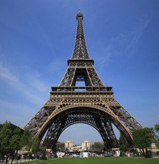Fototapeta na wymiar tour Eiffel et trocadéro en arrière plan