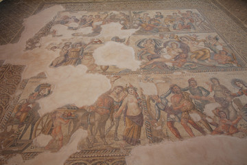 Paphos Archaeological Park - ancient Greek mosaic