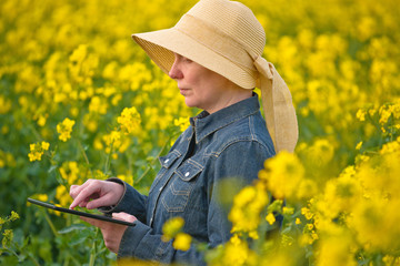 Female Farmer with Digital Tablet in Oilseed Rapeseed Cultivated