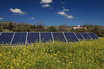 Solar panels on a flower meadow