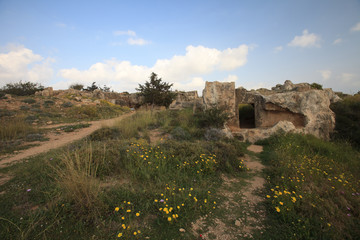 Fototapeta premium path to the ruins of the tombs of the kings of pathos. Cyprus 