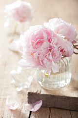 beautiful pink peony flowers bouquet in vase © Olga Miltsova