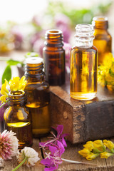 essential oils and medical flowers herbs - obrazy, fototapety, plakaty