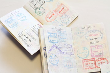 Obraz na płótnie Canvas パスポートの査証