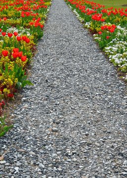 Von Blumen ges&auml;umter Weg