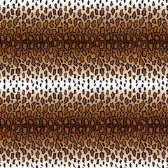 Leopard pattern