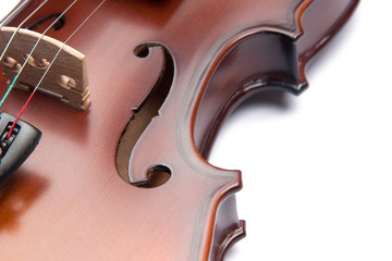violin