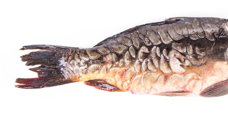 Grilled carp fish tail.