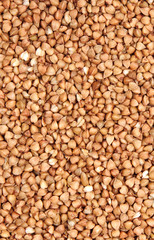 buckwheat;