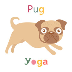 An illustration of pug doing yoga