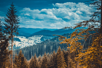 landscape in mountains Karpaty