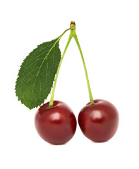 Two ripe cherry with green leaf (isolated)