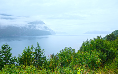 Fototapeta na wymiar Summer cloudy sea coast view (Norway).