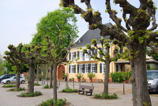 Wallufer Rheinufer