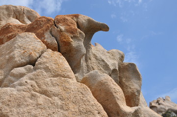CAPU DI MURU - Calu Orzo (Corsica)