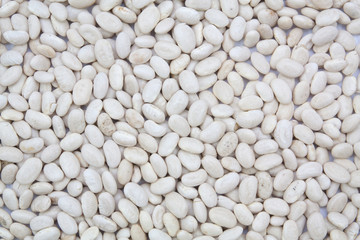 white beans texture background