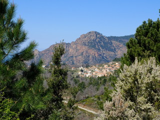 CAPU DI MURU - Calu Orzo (Corsica)