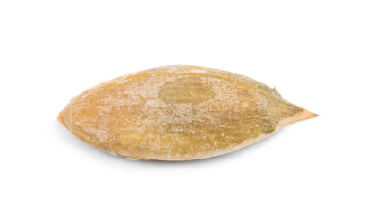 Pumpkin seed close up.