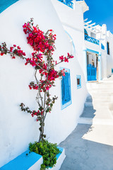 White architecture and flowers on the street