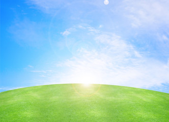 grass and sky
