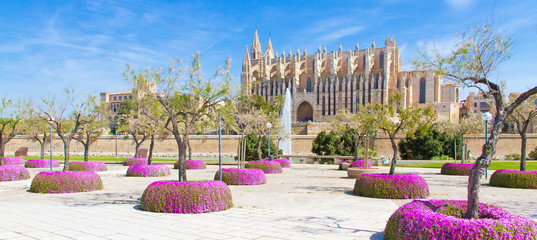 Mallorca Kathedral La Seu im Frühling © Jürgen Fälchle