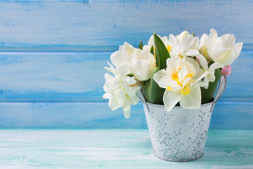 Background with fresh narcissus and tulips in bucket