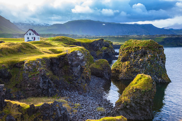 The coast of Iceland - obrazy, fototapety, plakaty