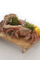 Hokkaido crab and hair crab