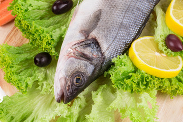 Fresh seabass fish on lettuce. 