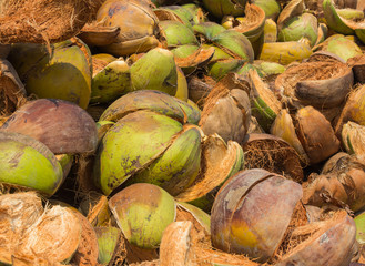 Pile of discarded coconut husk in Thailand coconut farm