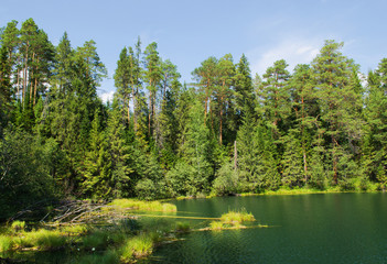 Lake in wood