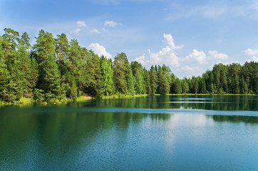 Lake in wood