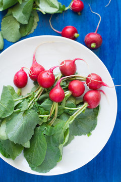 Radish with Leaves on White Plate