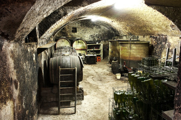 Interior of a vaulted wine cellar with old casks