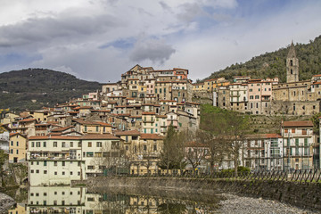 Fototapeta premium Pigna